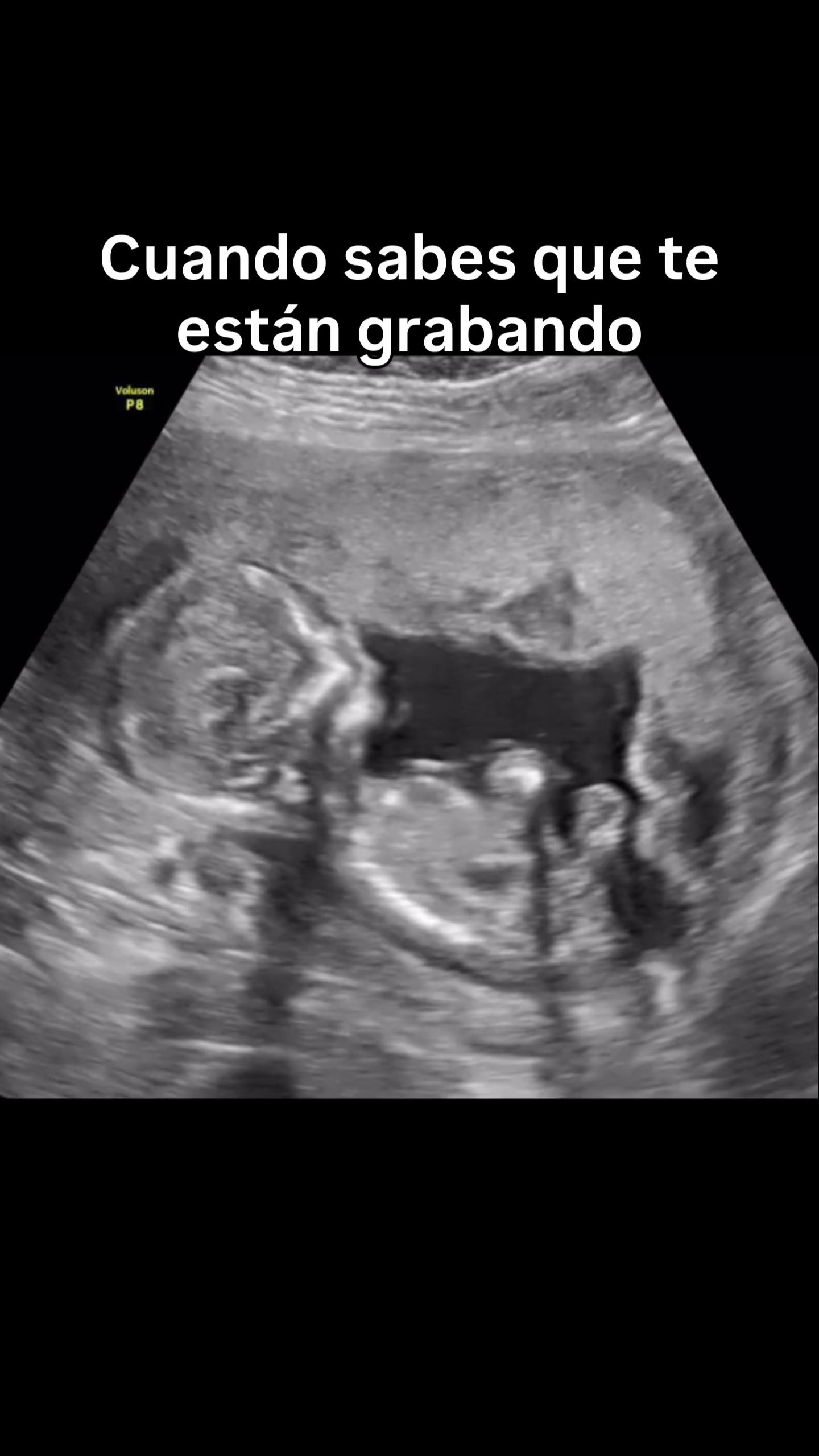 @Julieta De La Garza-UGC