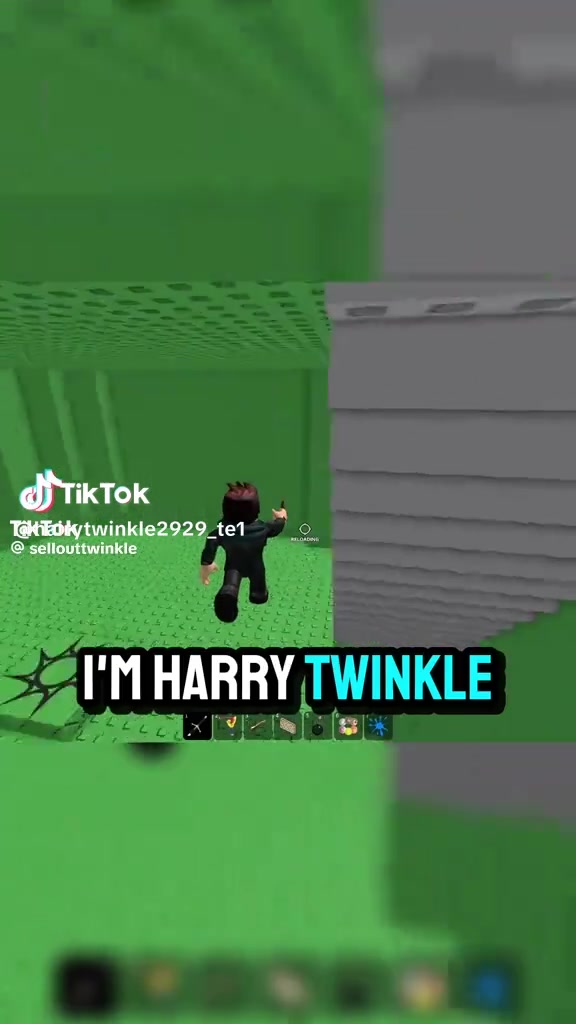 @hairytwinkle2929_