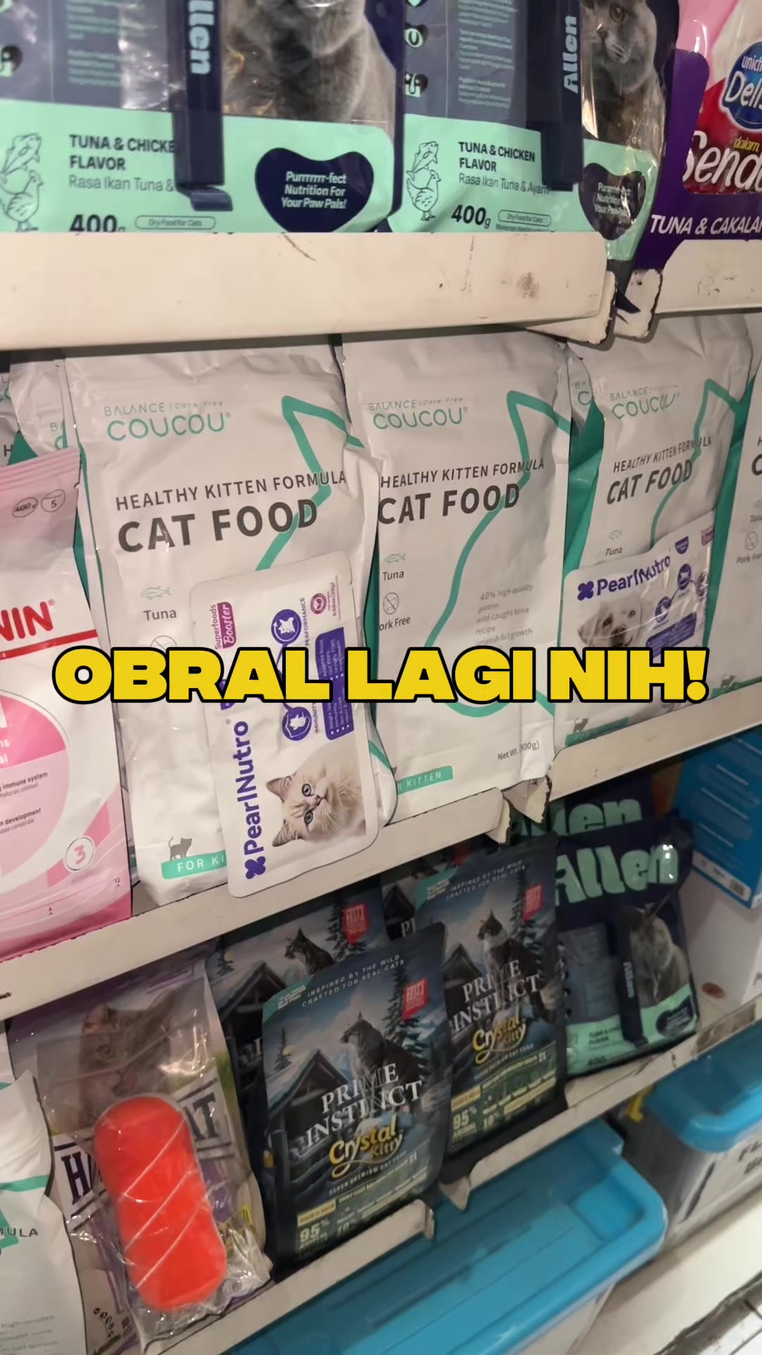 @bejo petmart