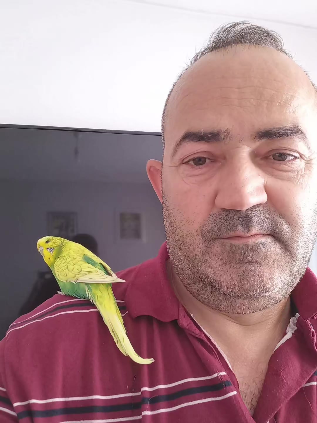 @CENK AYRAK