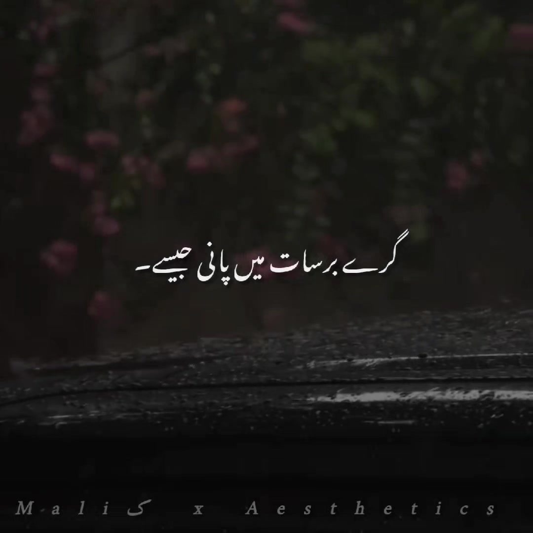 @𝑴𝑨𝑳𝑰𝑲 𝑨𝑬𝑺𝑻𝑰𝑿🎧