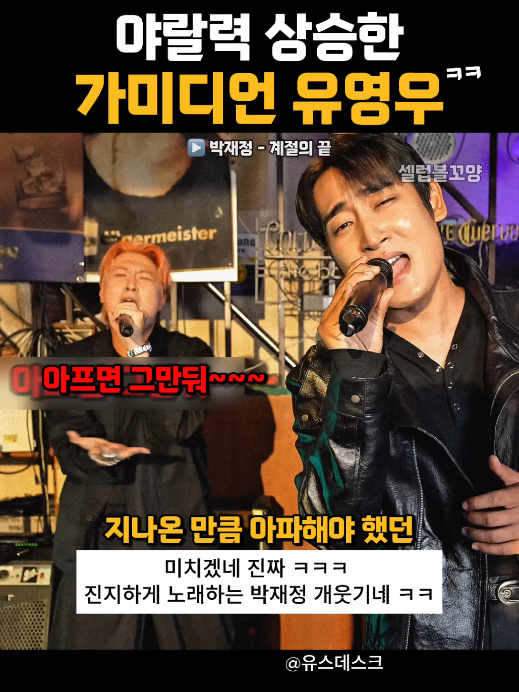 @셀럽볼꼬양