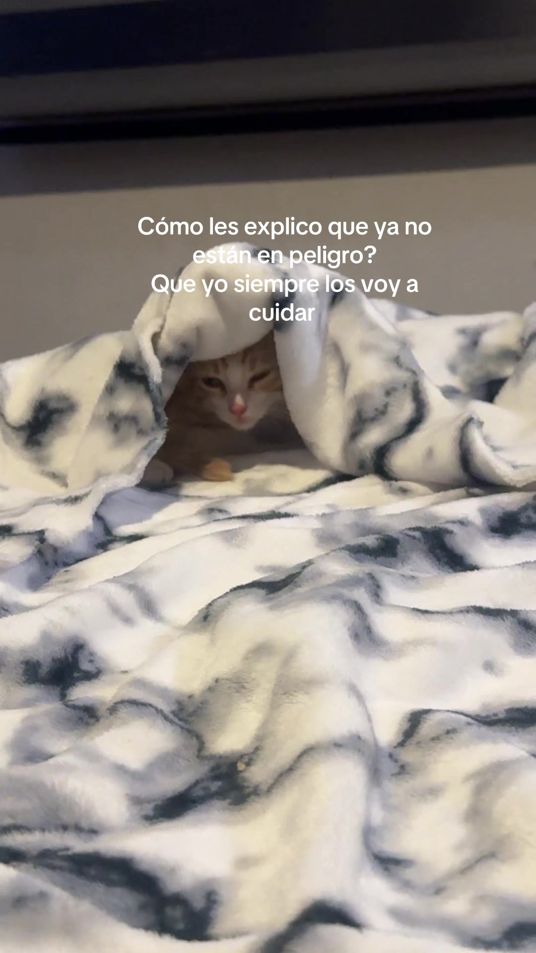 @Linda Miaw