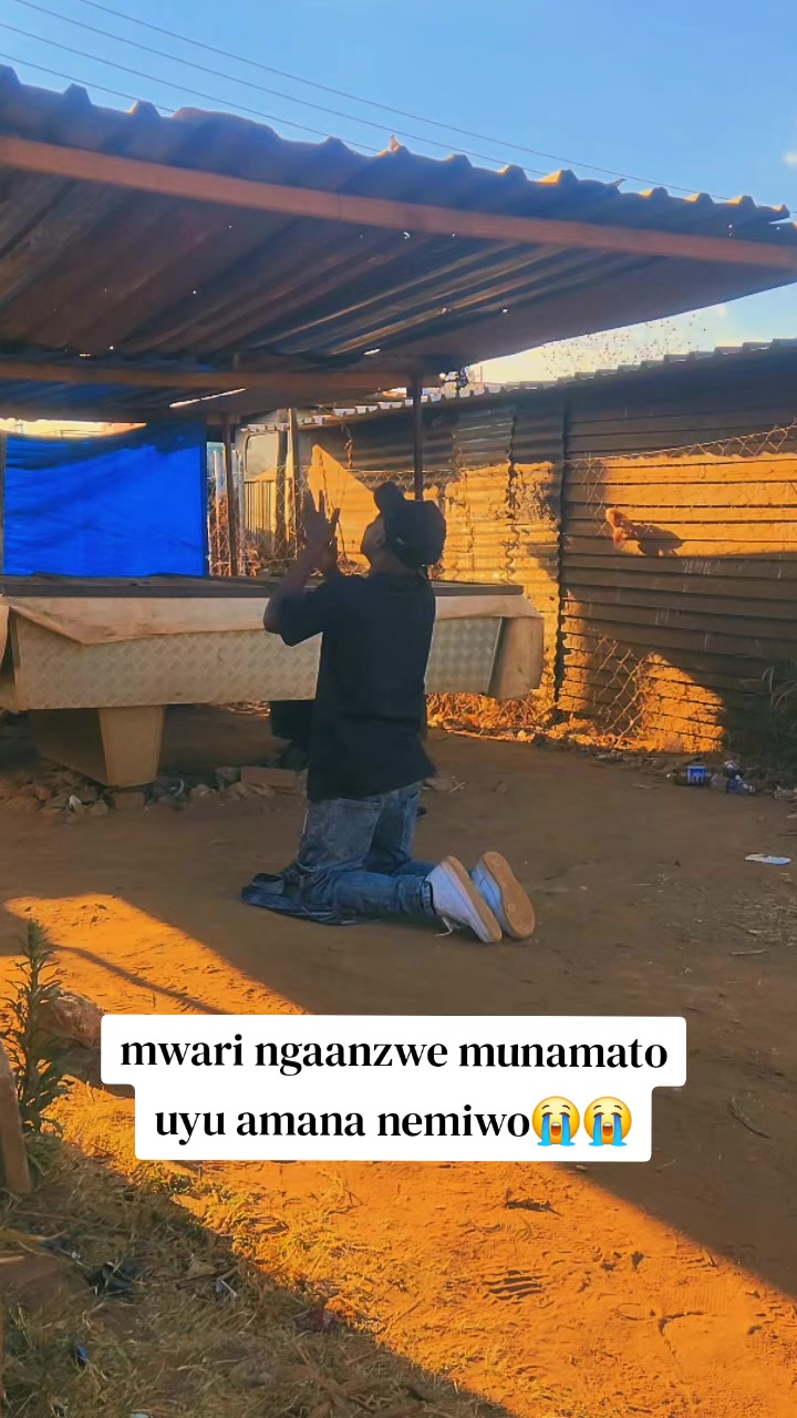 @Zim_Celebrity