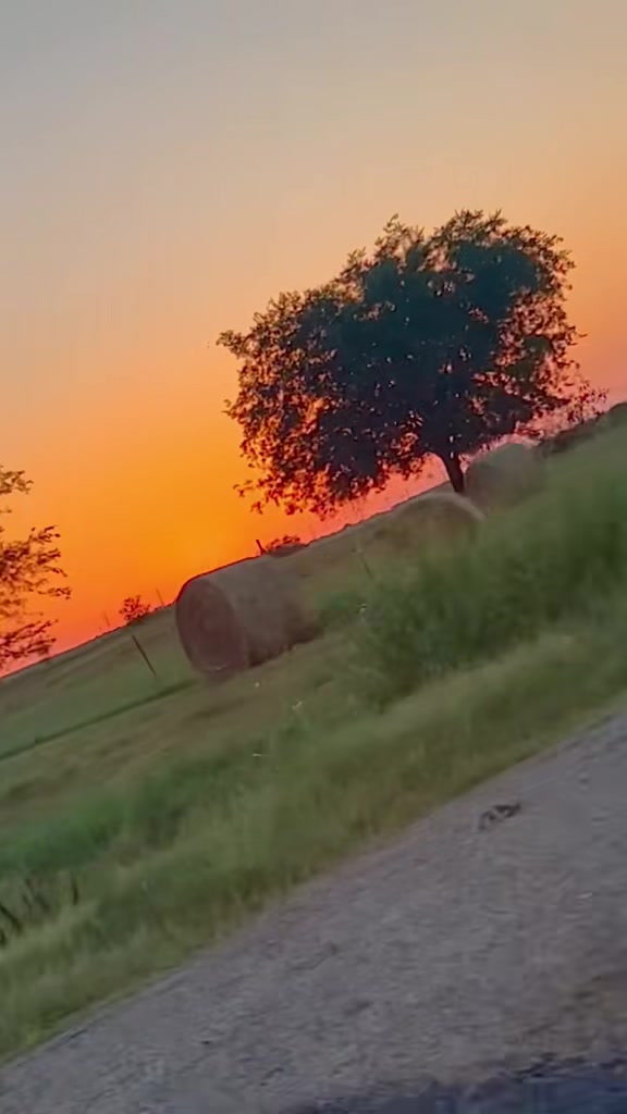 @TKinTexas