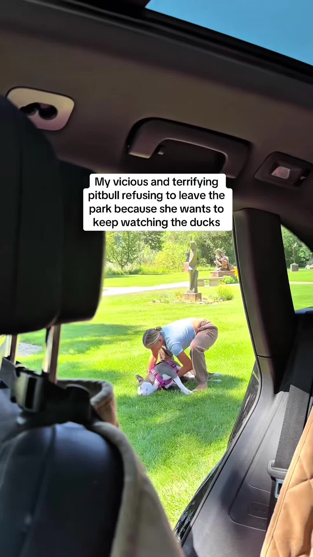 @funnyvideo3782