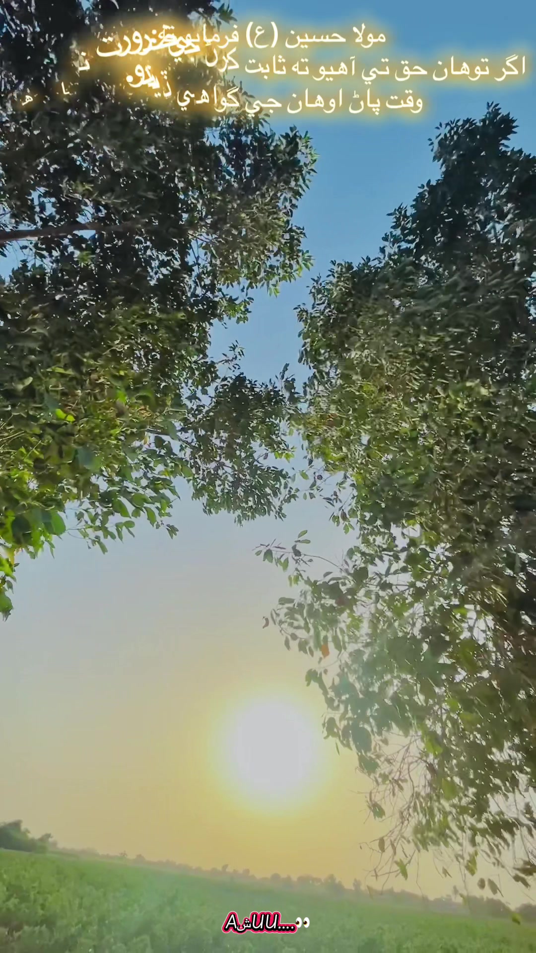 @𝐀𝐞𝐬𝐭𝐡𝐞𝐭𝐢𝐜𝐀𝐬𝐡18