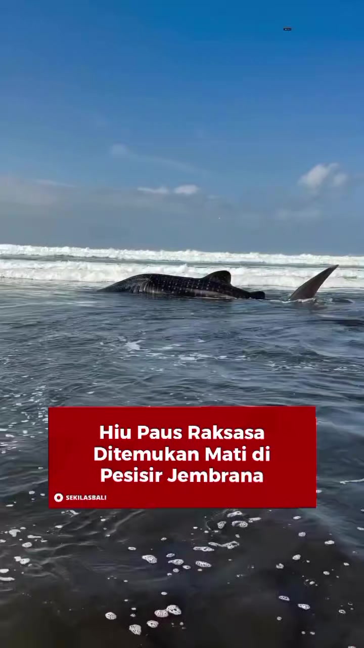 @Sekilas Bali