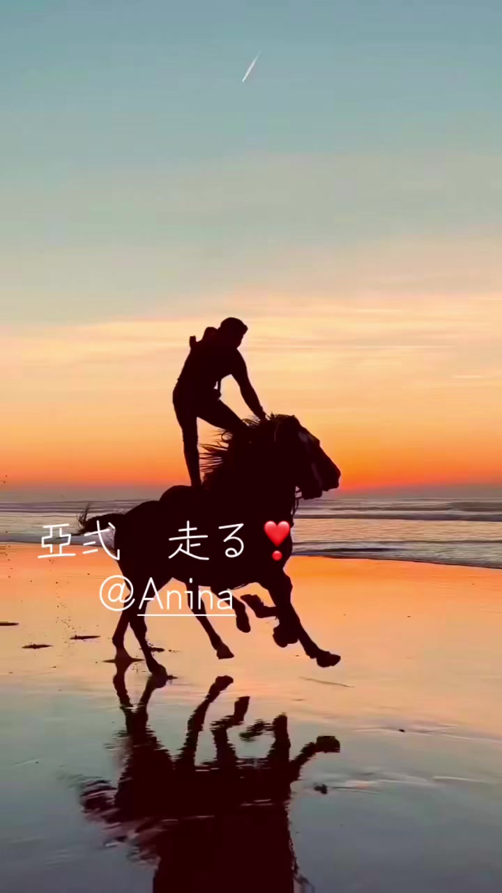 @神田明神🐒さるとびjournal