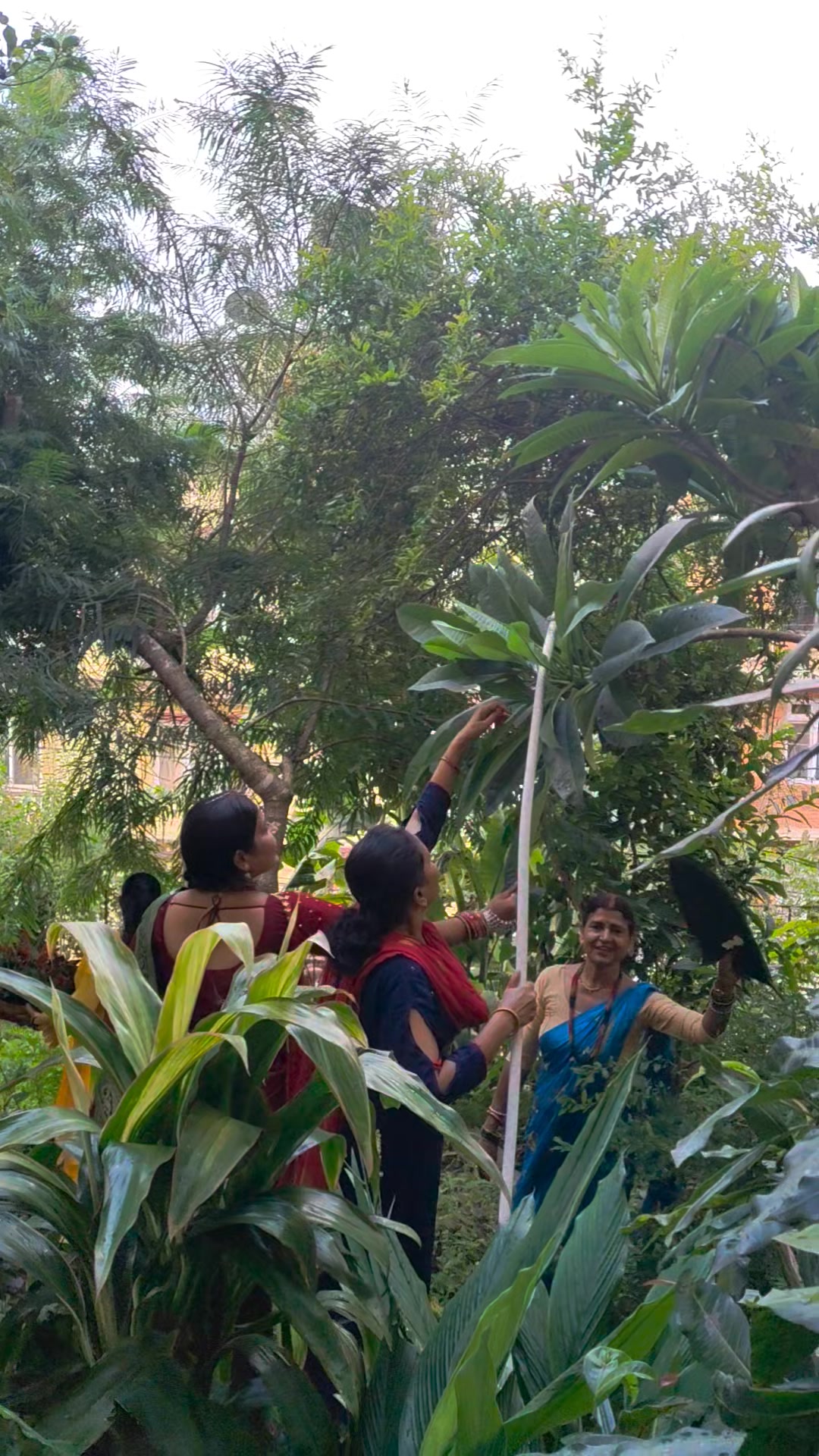 @Swikriti Lal