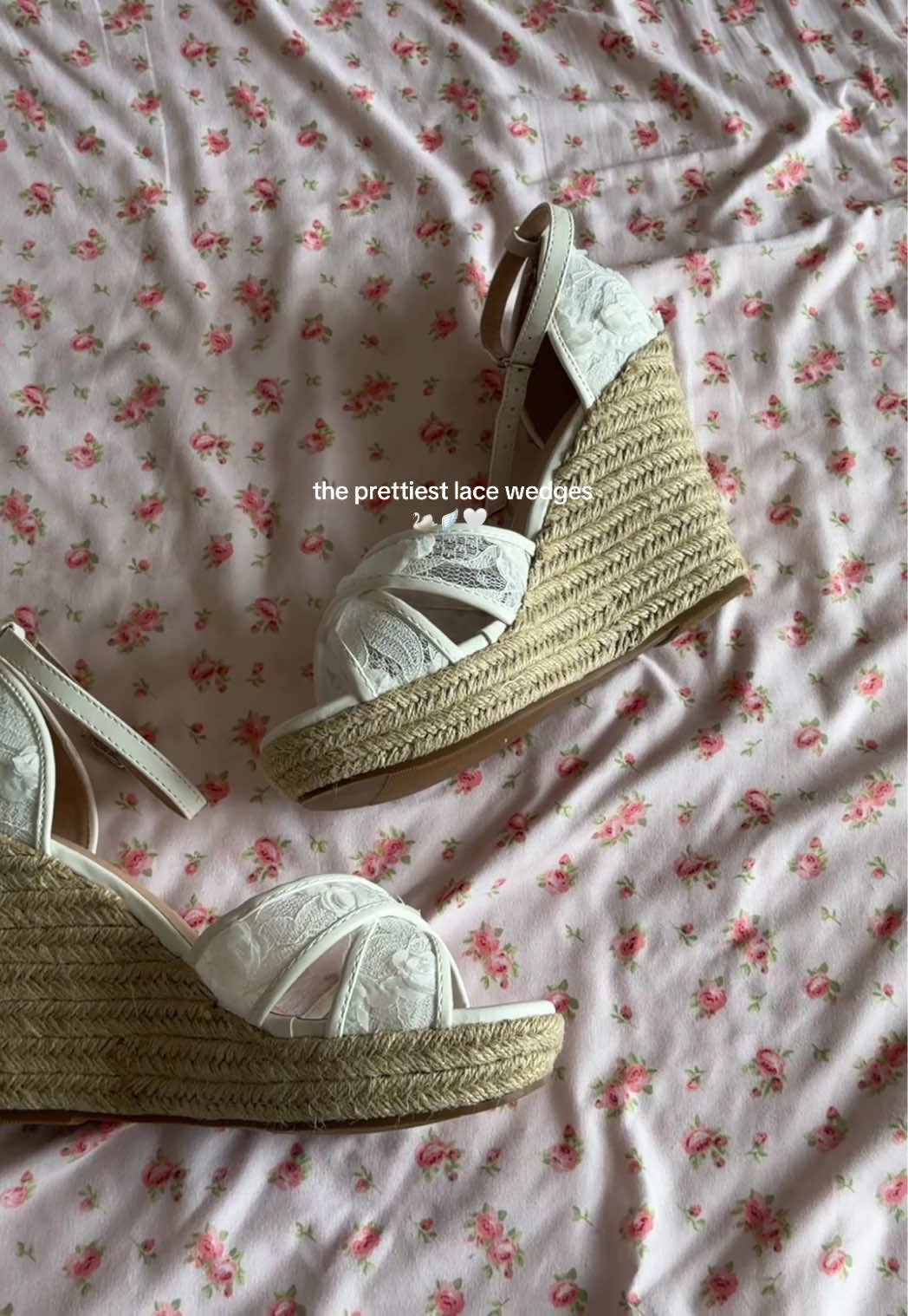 @angelina 𝜗𝜚