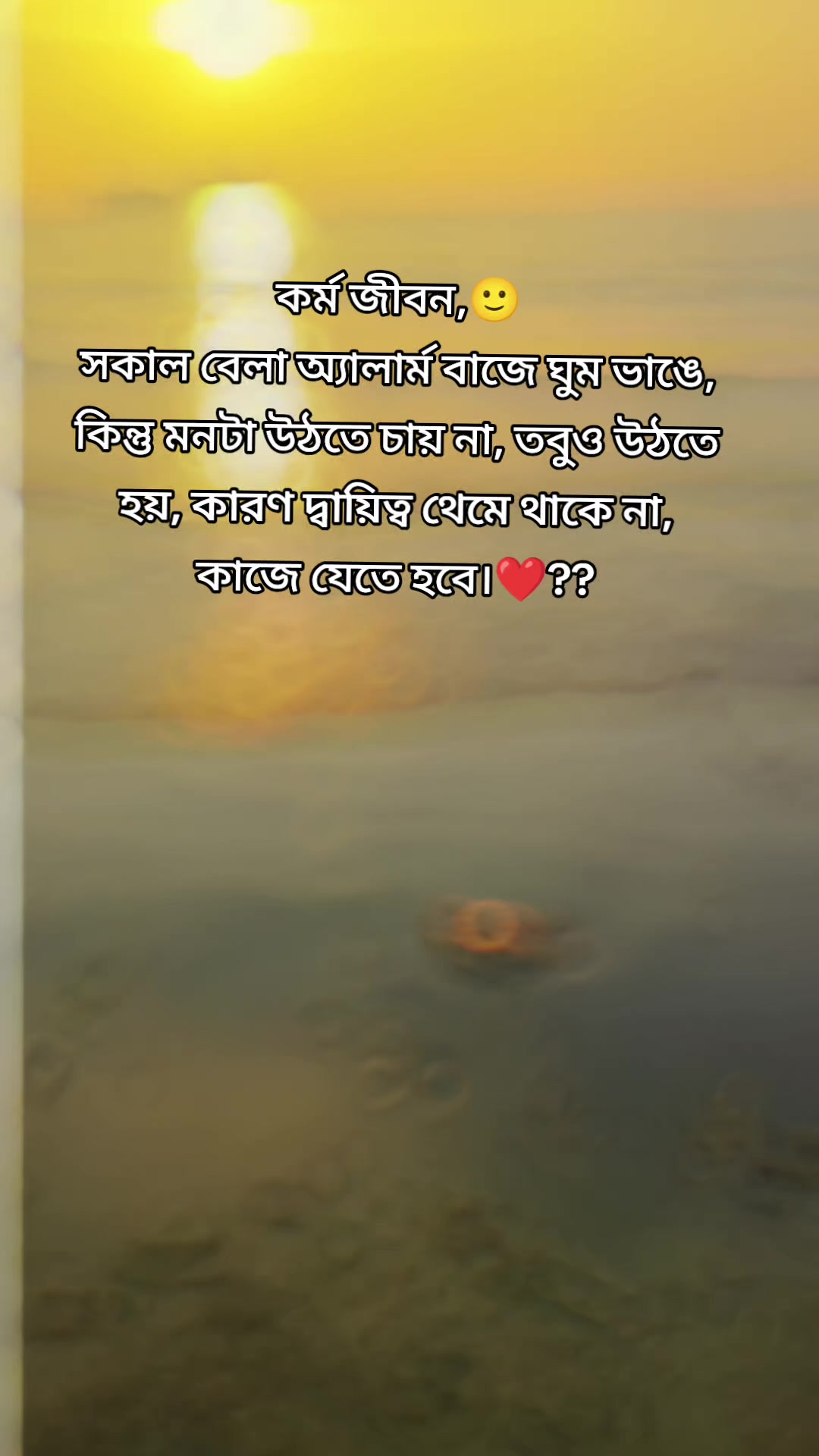 @Joy Chandra Das☞13375