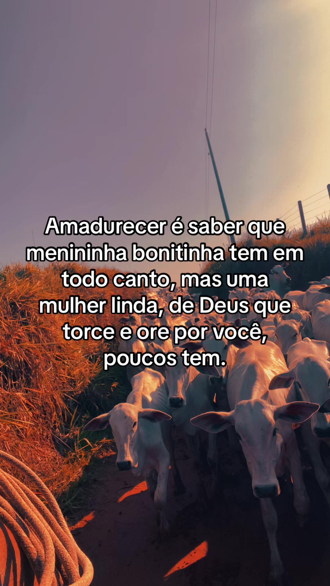 @📿K&Aacute;SSIO.agro𓃗🤠