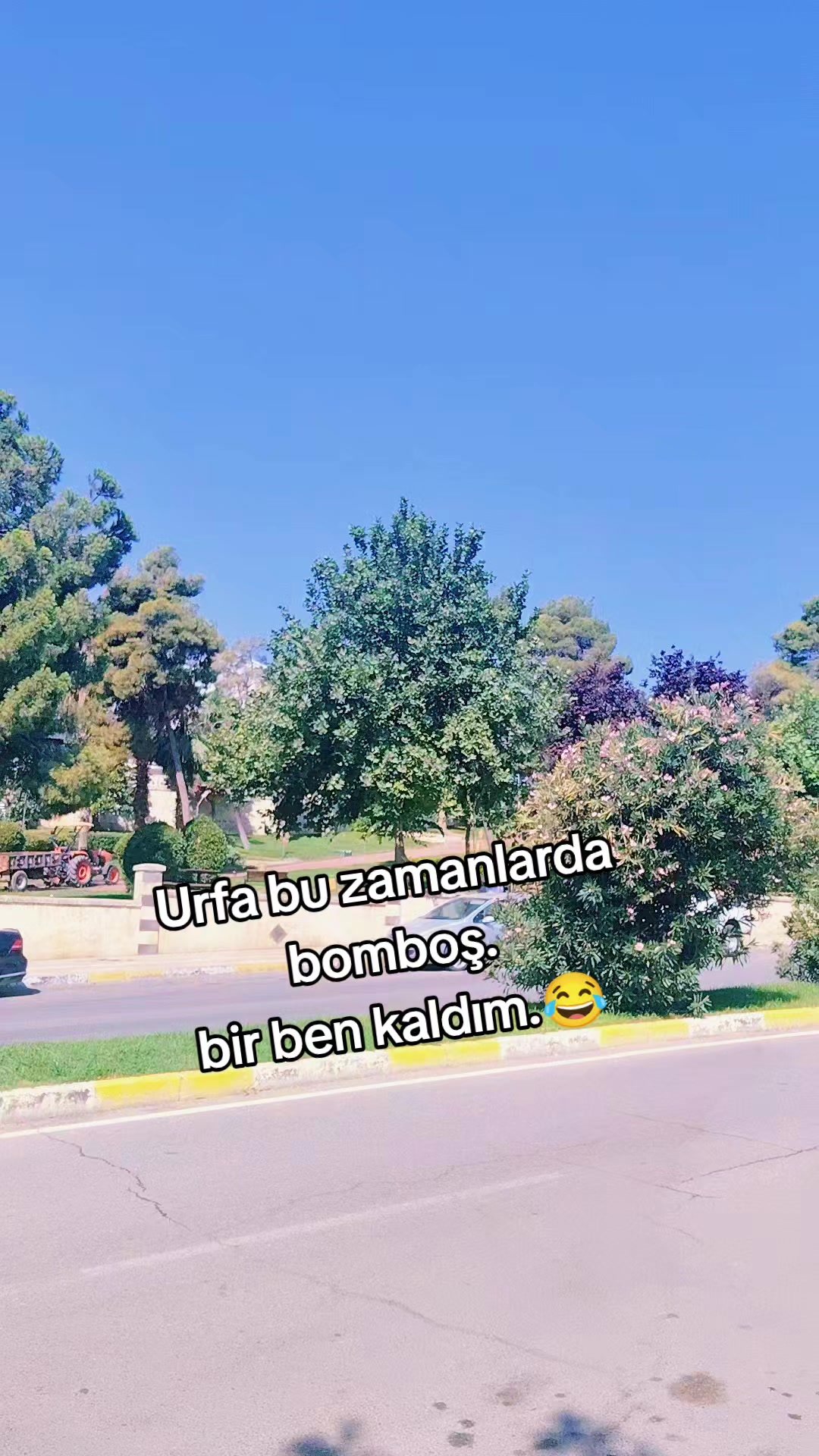 @Ada Yıldız Önal.🧿