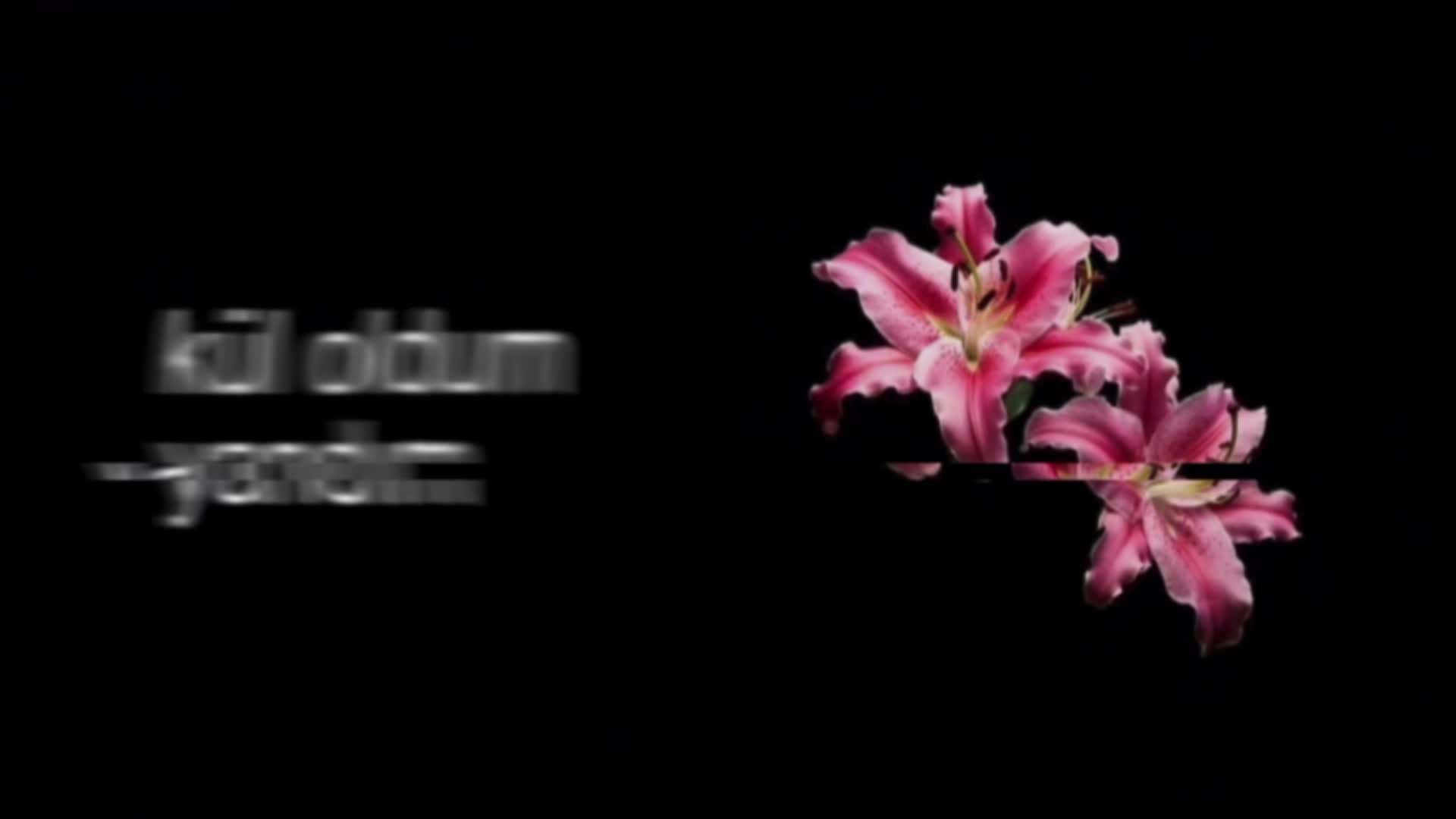 @𝐲𝐰𝐞𝐮