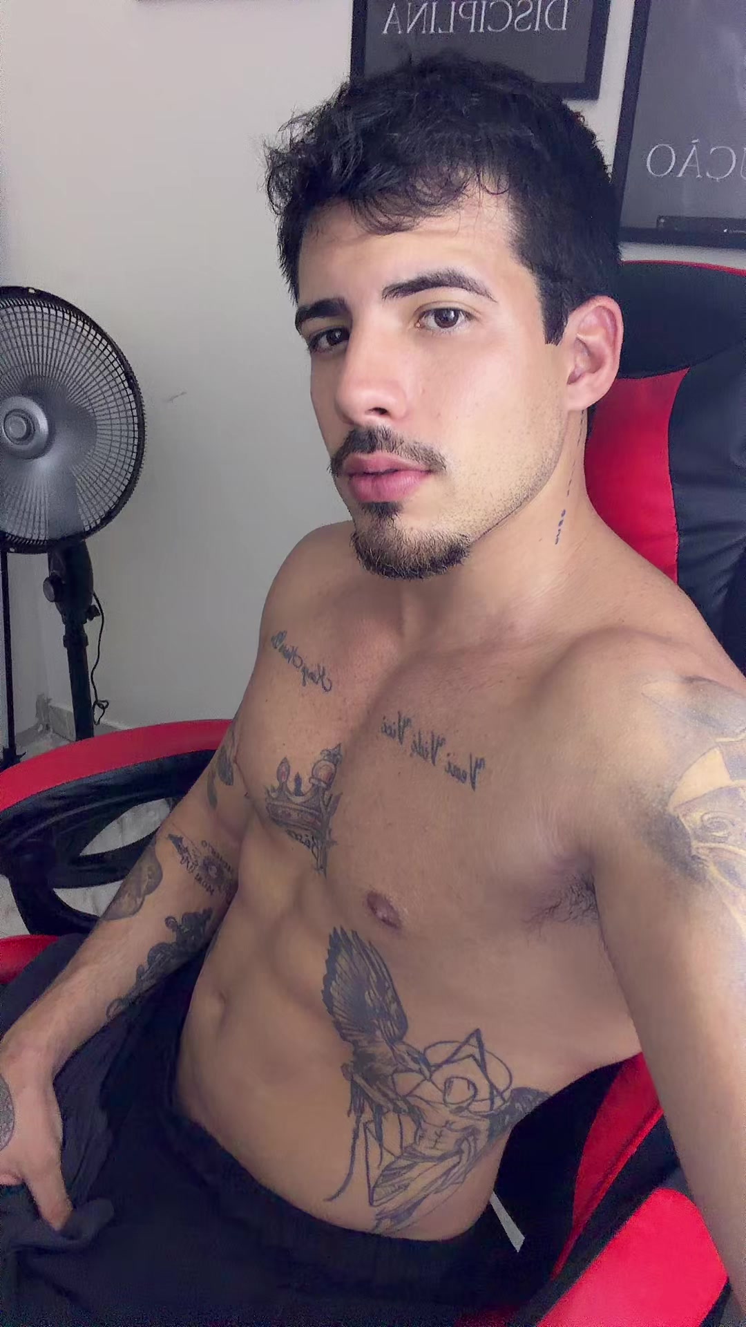 @Raphael Miranda 🦘