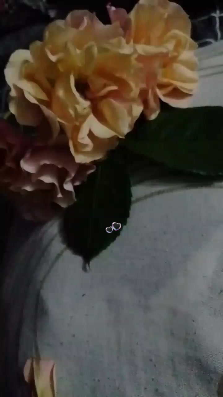 @🍎ERKA 💋Qız🤞🌼🌼🌼🌹🌹