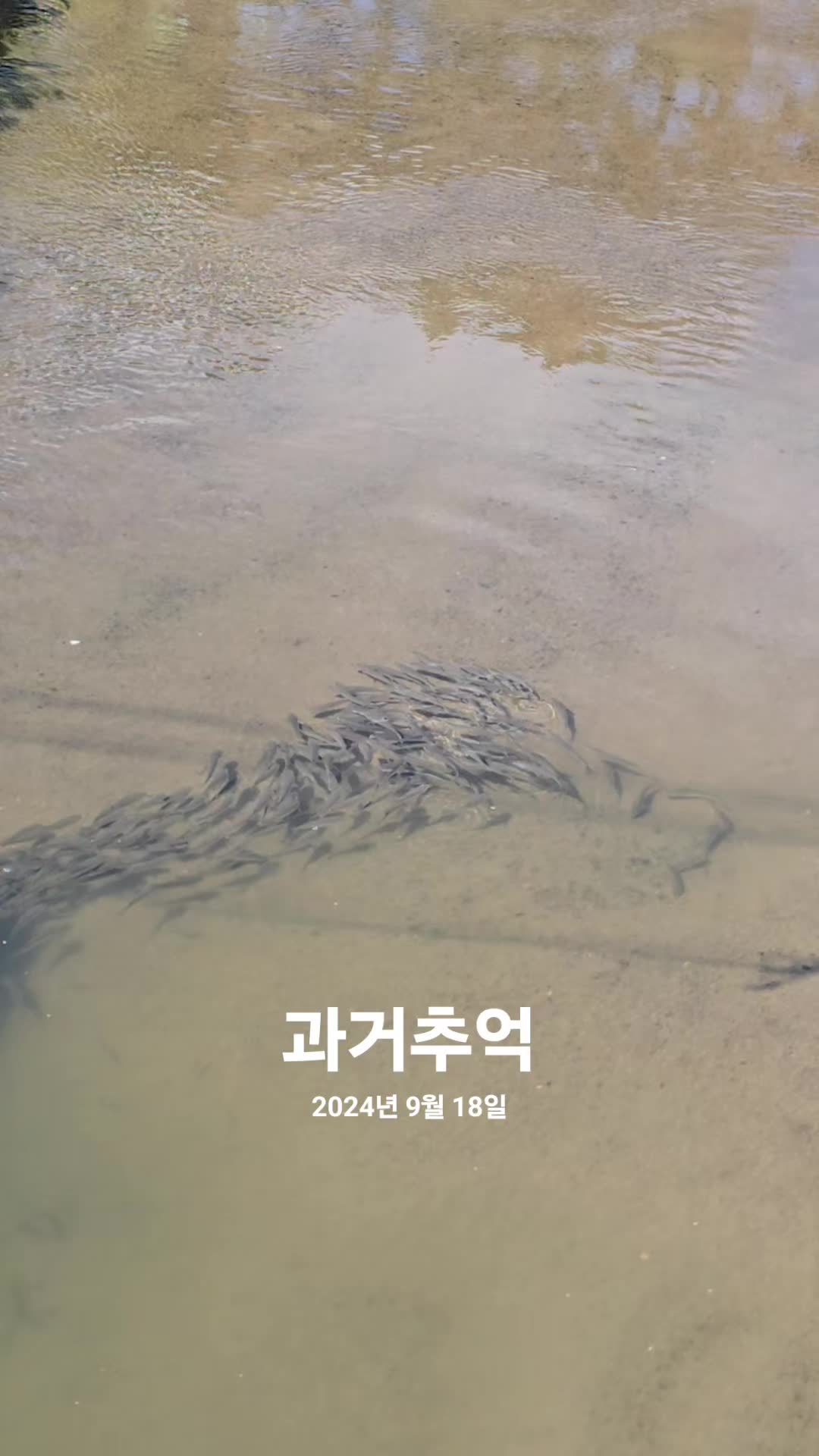 @훨훨~~^@^