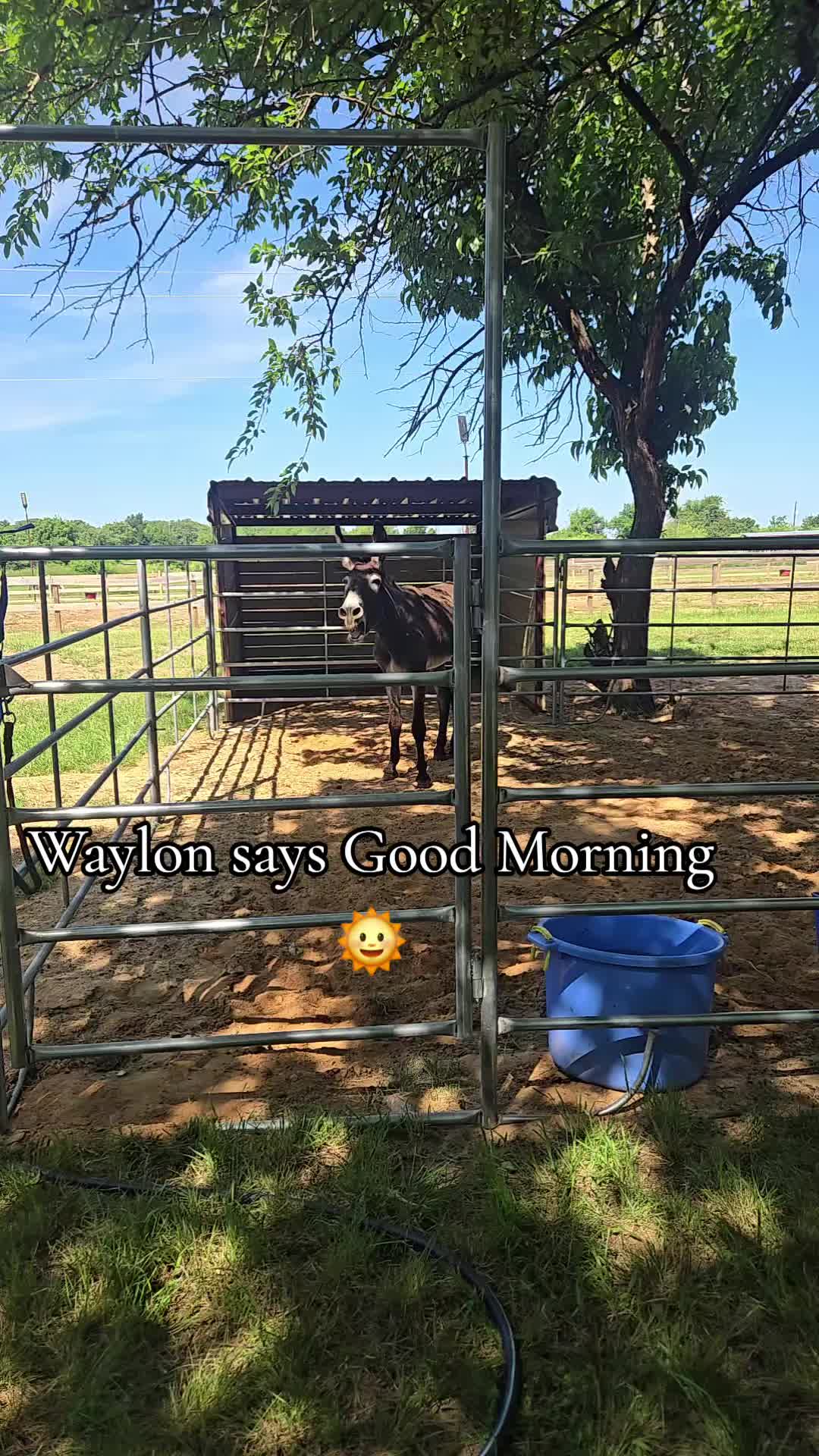 @Fonzy's Farm Rehab & Sanctuary