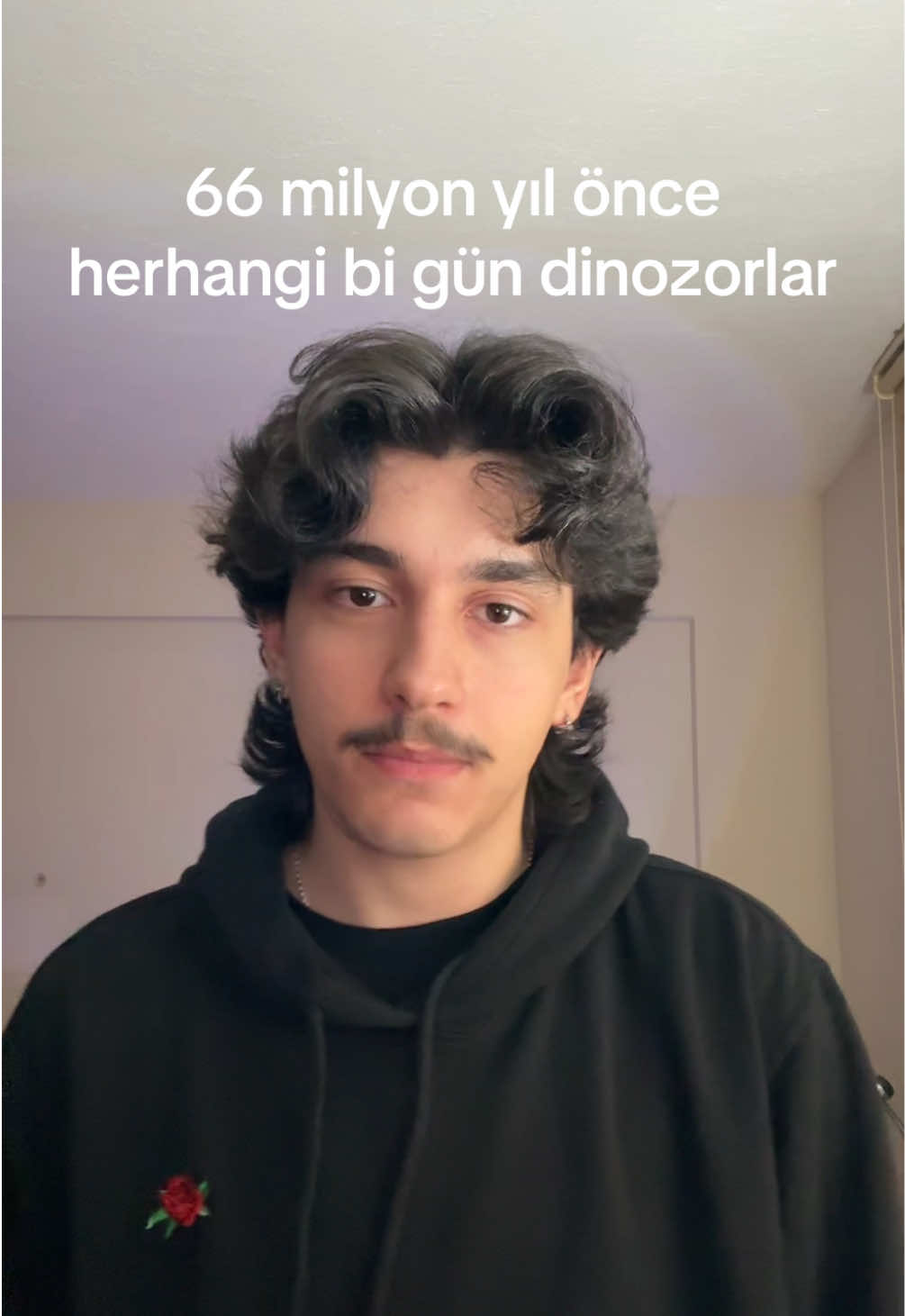@arda