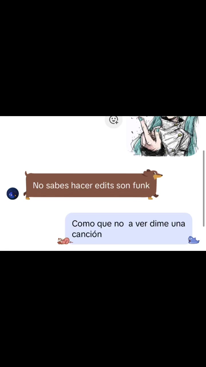 @zaid_llano
