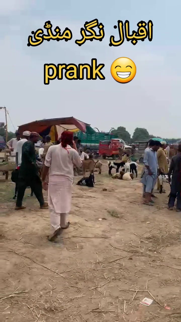@علی جوہیہ 🇵🇰🇲🇾🇶🇦🇹🇭