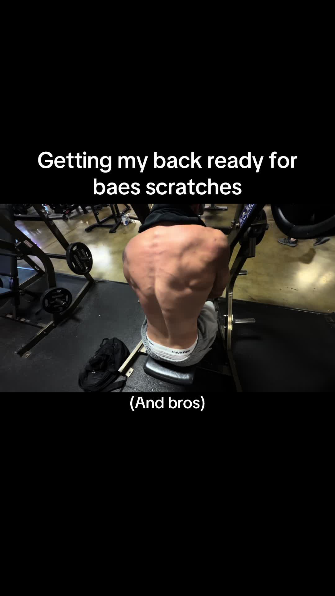 @seb