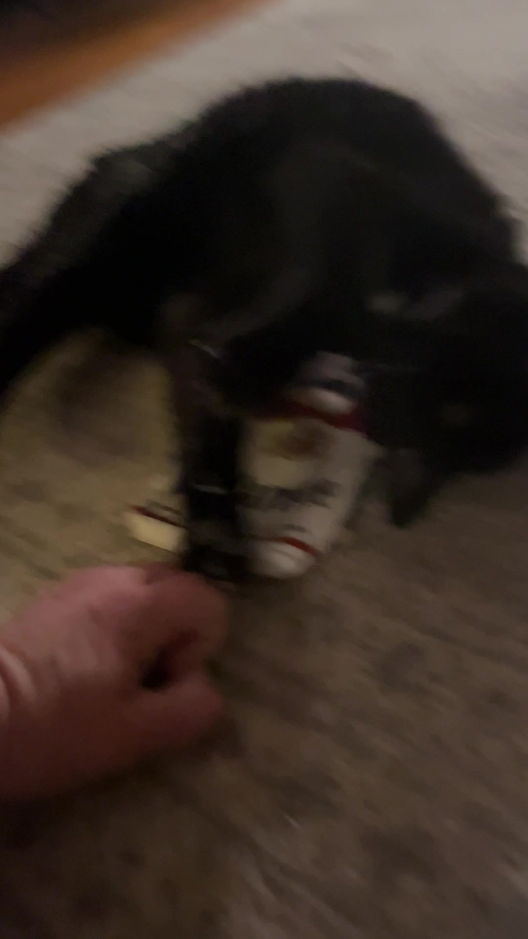@parkcirclepetconcierge