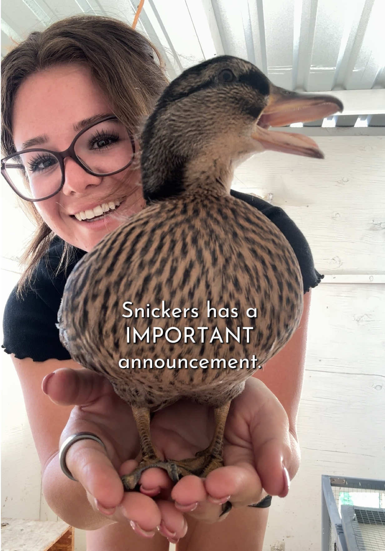 @Simply Chickens