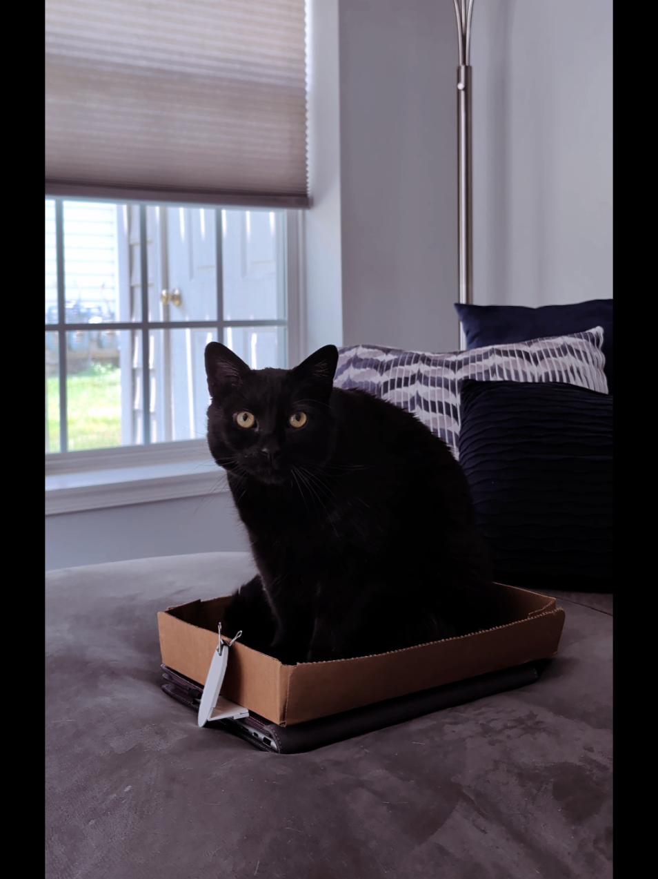 @xofrankieox