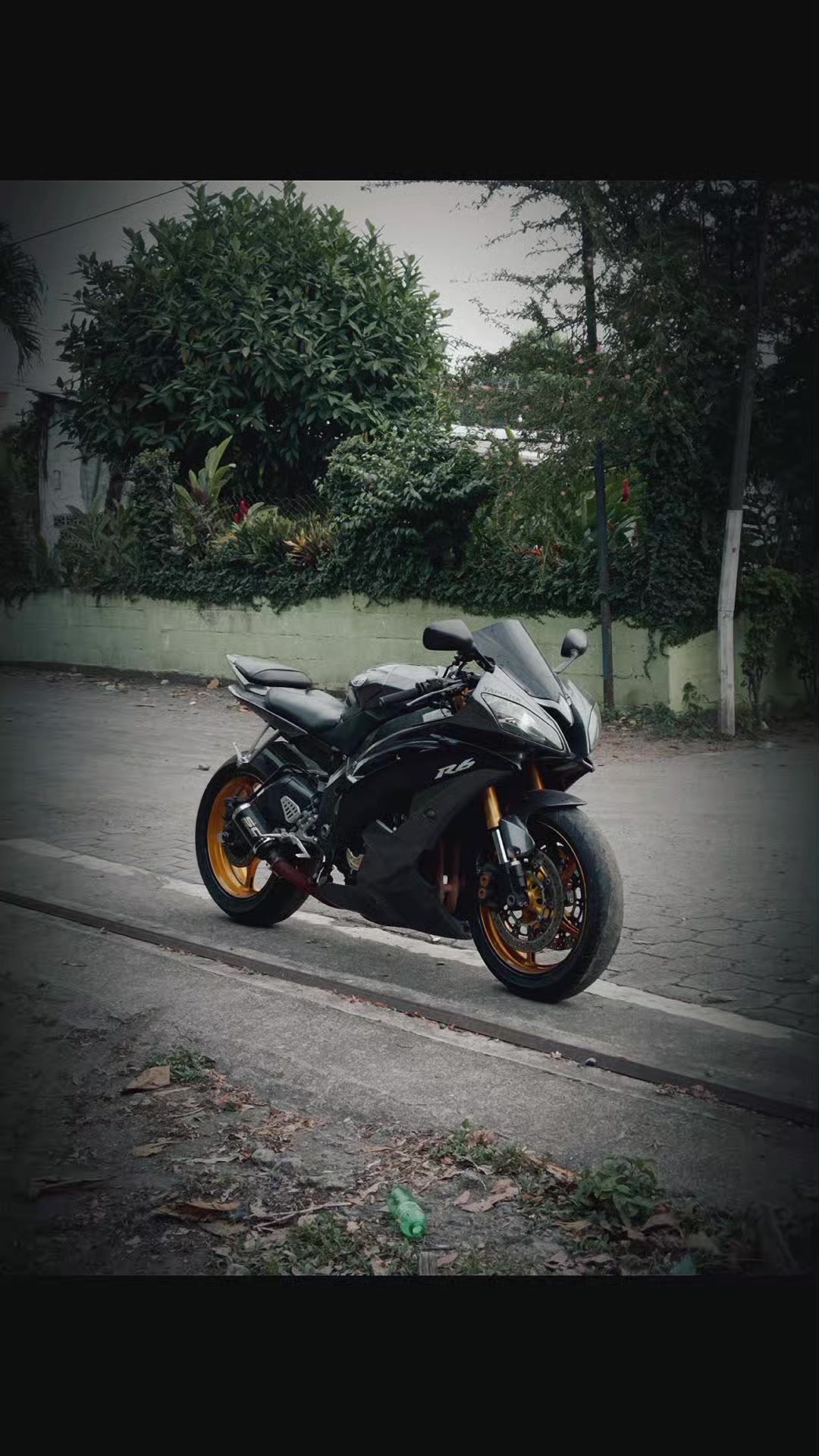 @De León R6