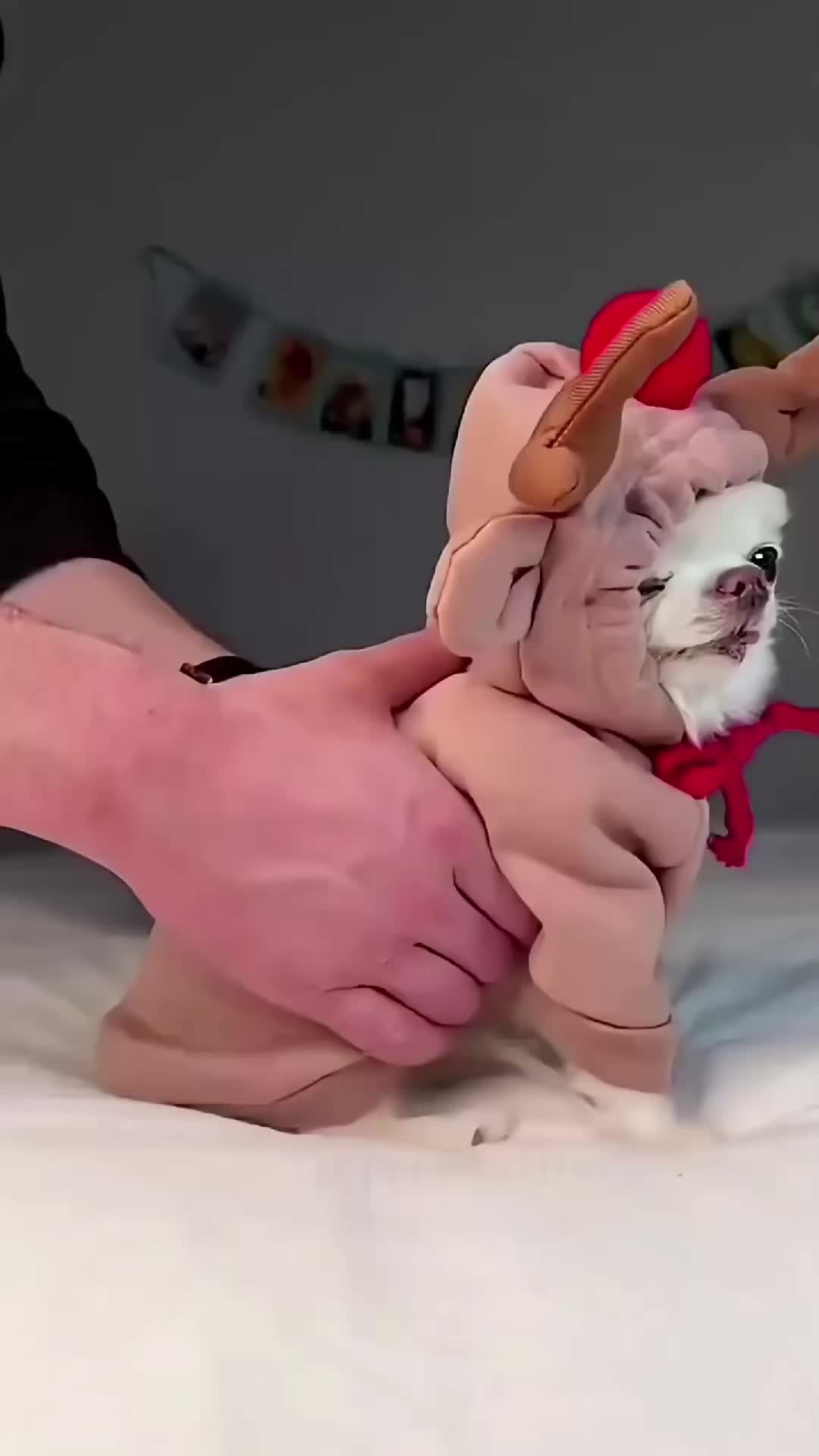 @limitlessu18