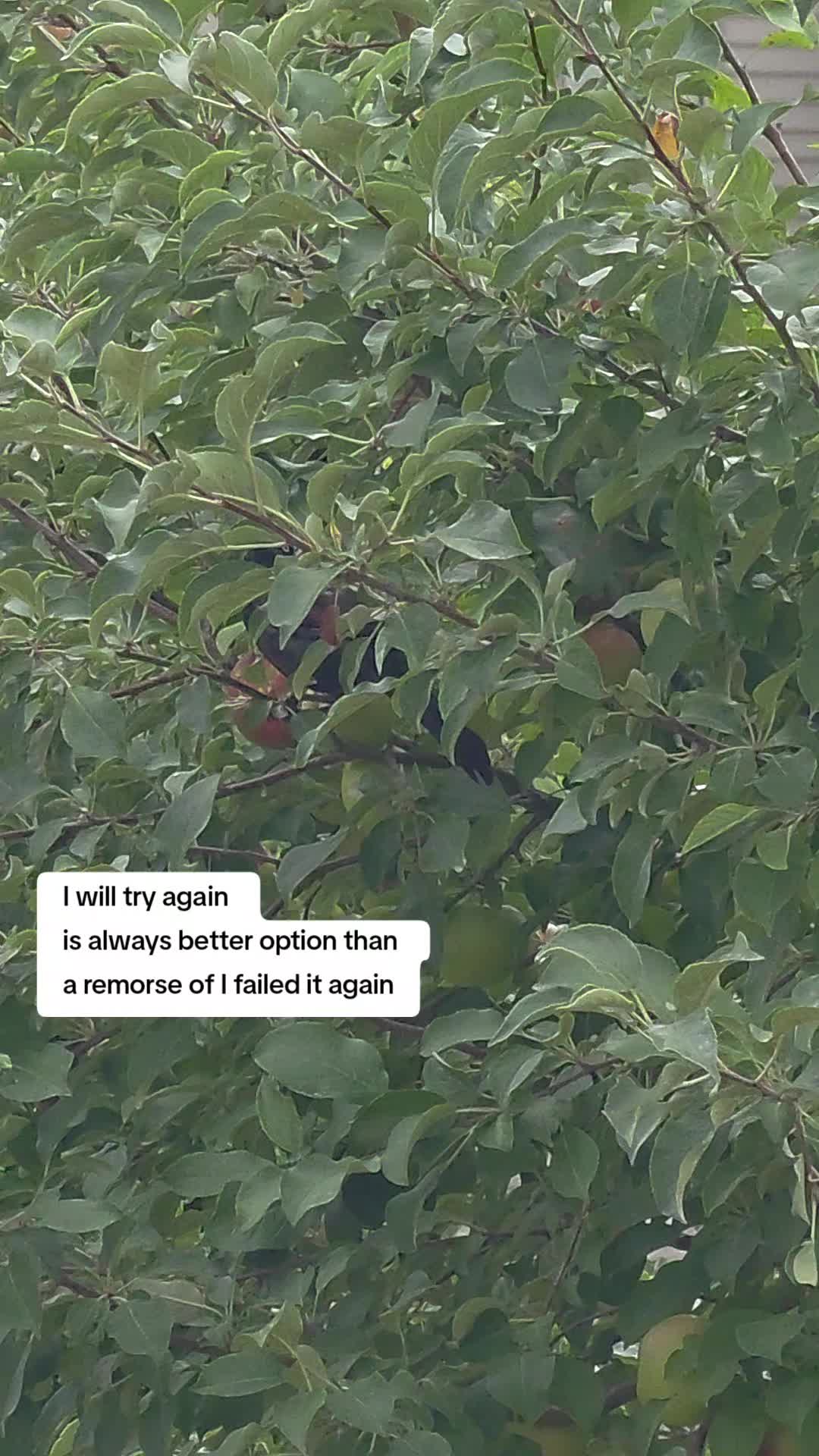 @ℂ𝕙𝕚𝕪𝕒 𝕂𝕙𝕒𝕚𝕕𝕚𝕞 ☕☕️☕️