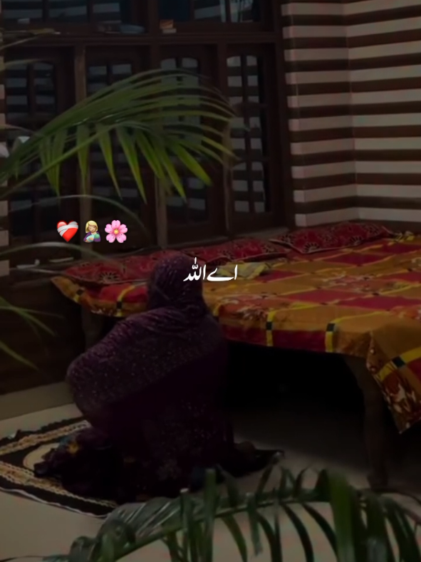 @𝗠𝗔𝗔