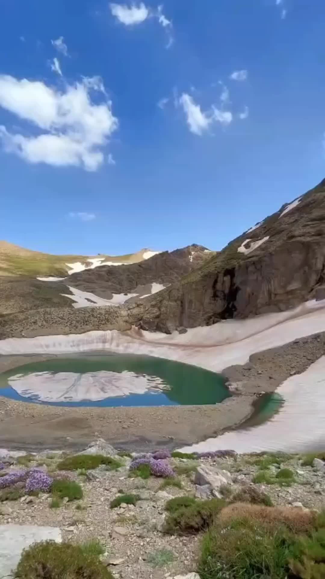 @devran🕊️