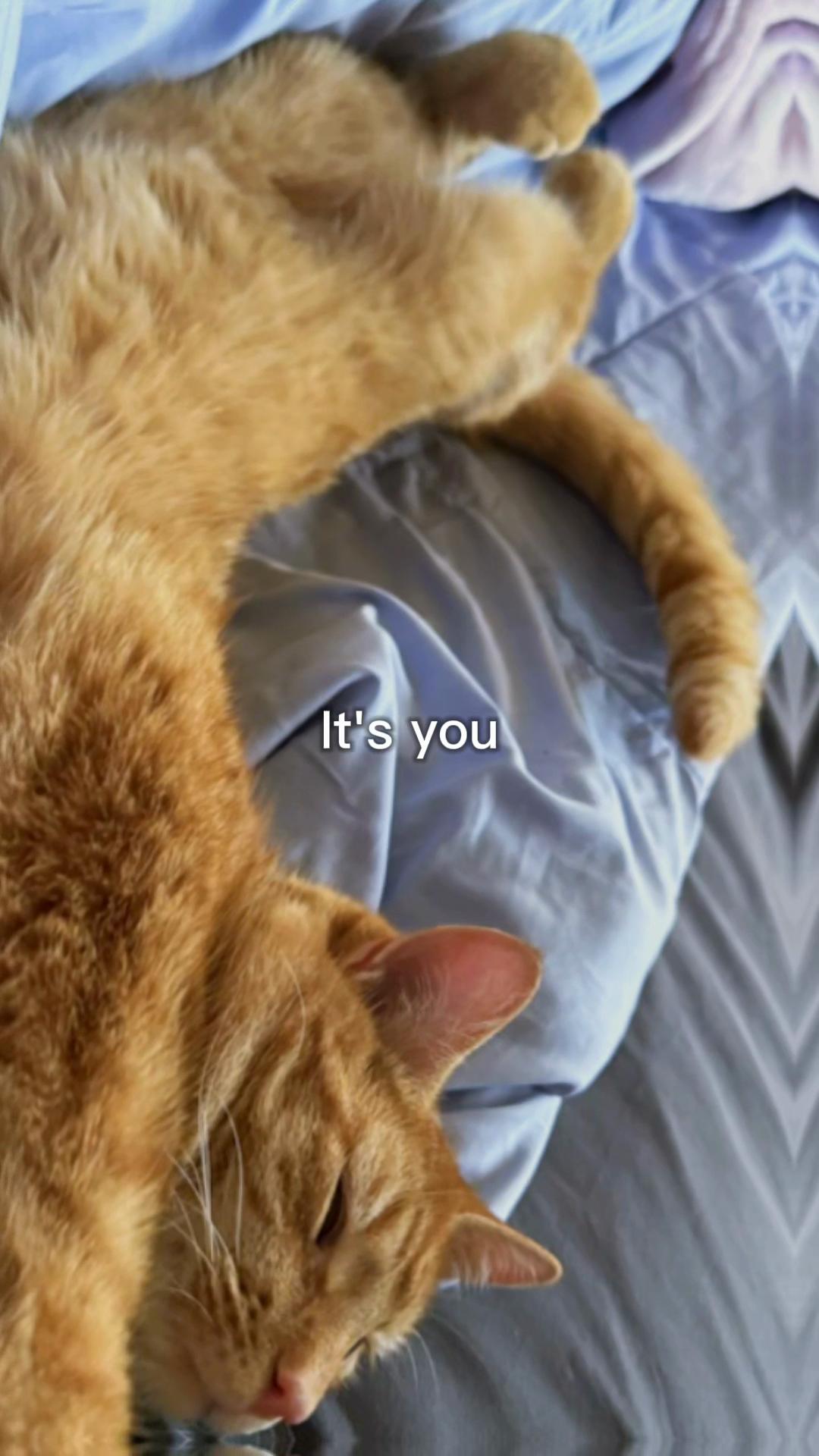 @michaels2017_