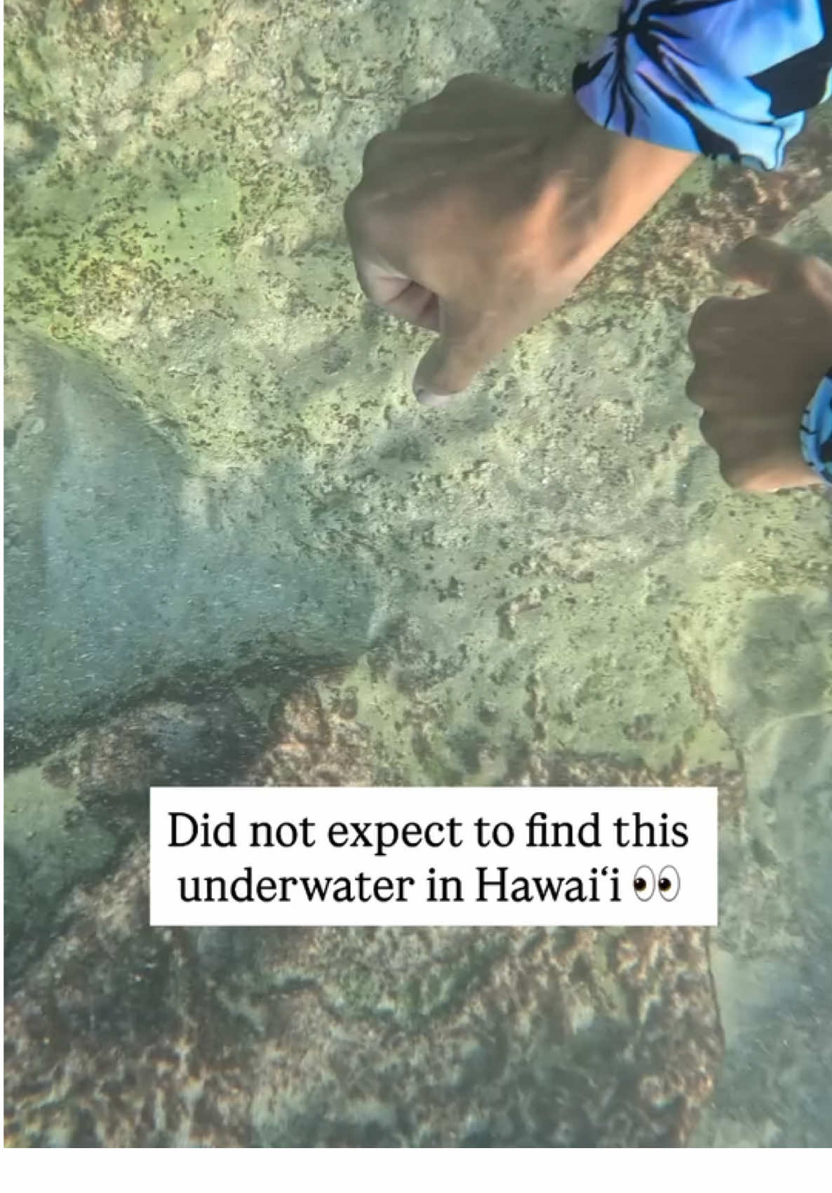 @Treasure Hawaii