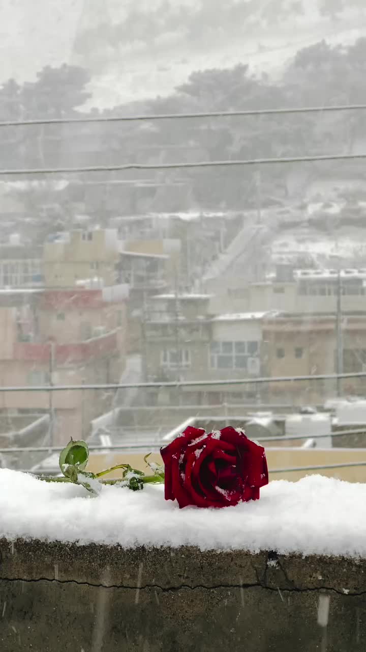 @ibrahim.Halil.&Ccedil;