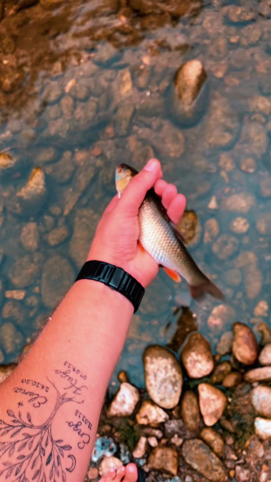 @Nico🎣