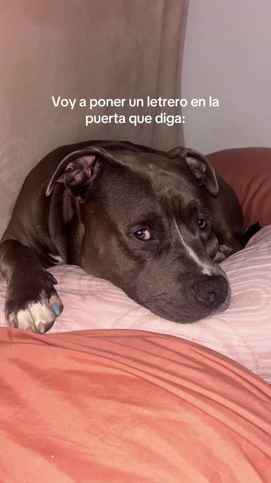 @Marielis Rodriguez🎀