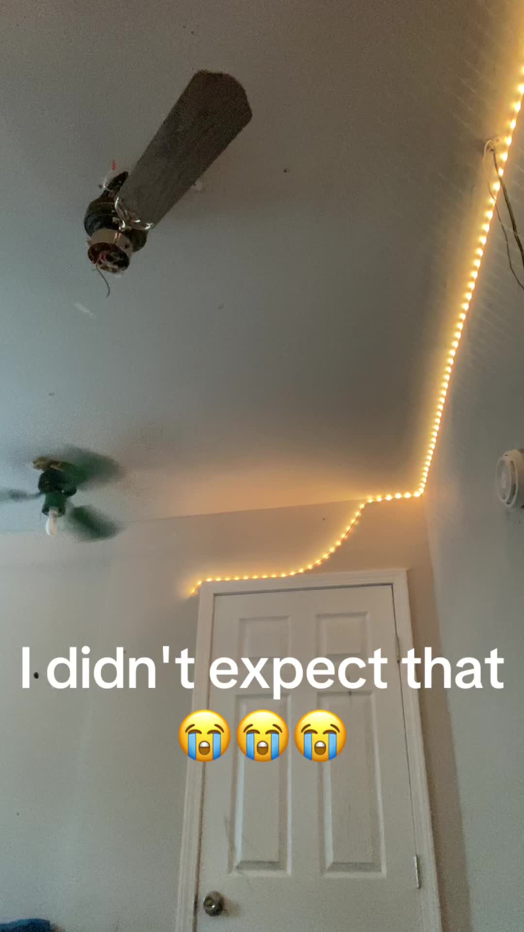 @𝘎𝘤𝘧𝘢𝘮🪭