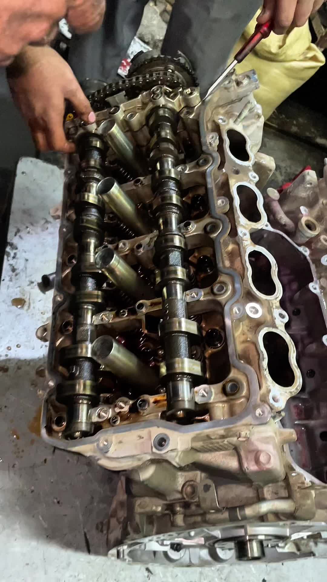 @MS Auto Mechanic