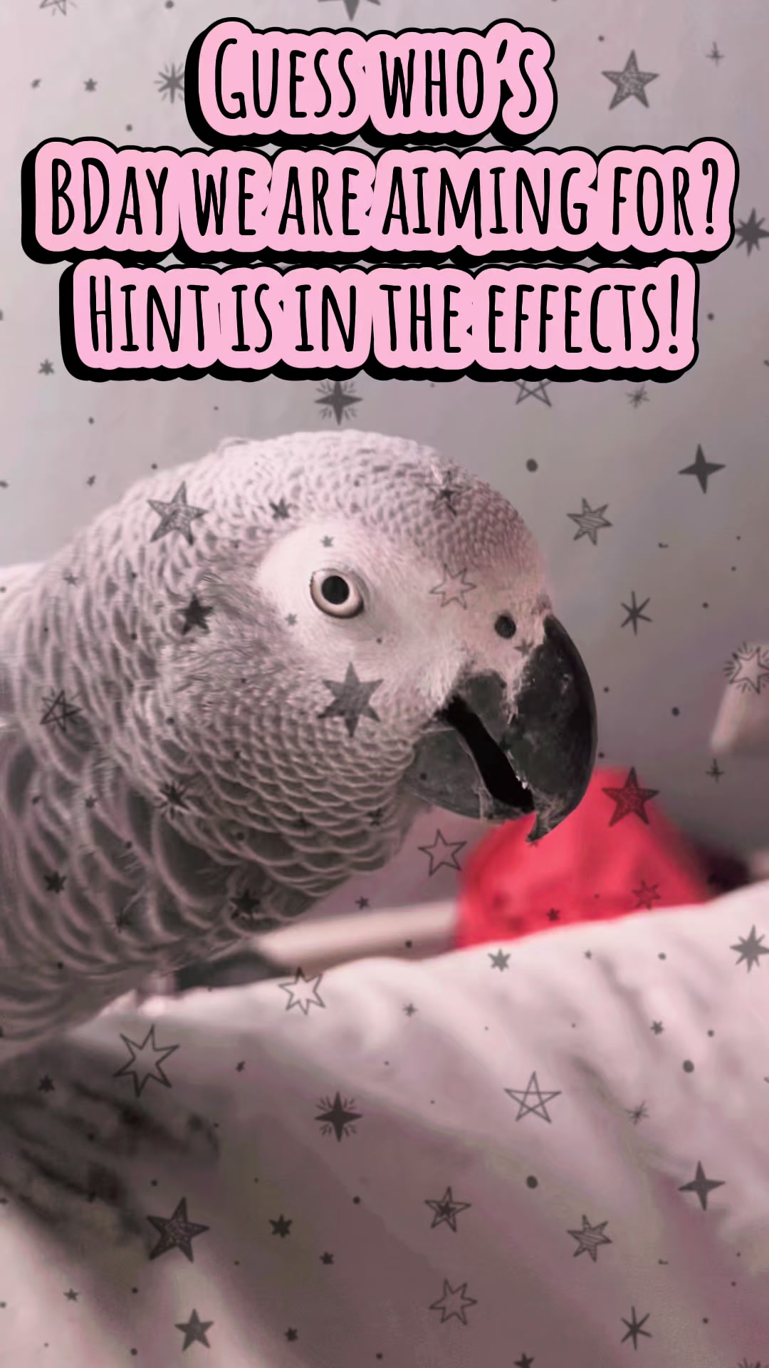 @thehinzoo