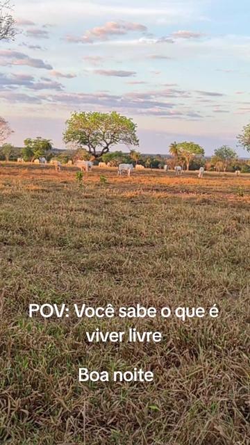 @@Vânia marciel 15
