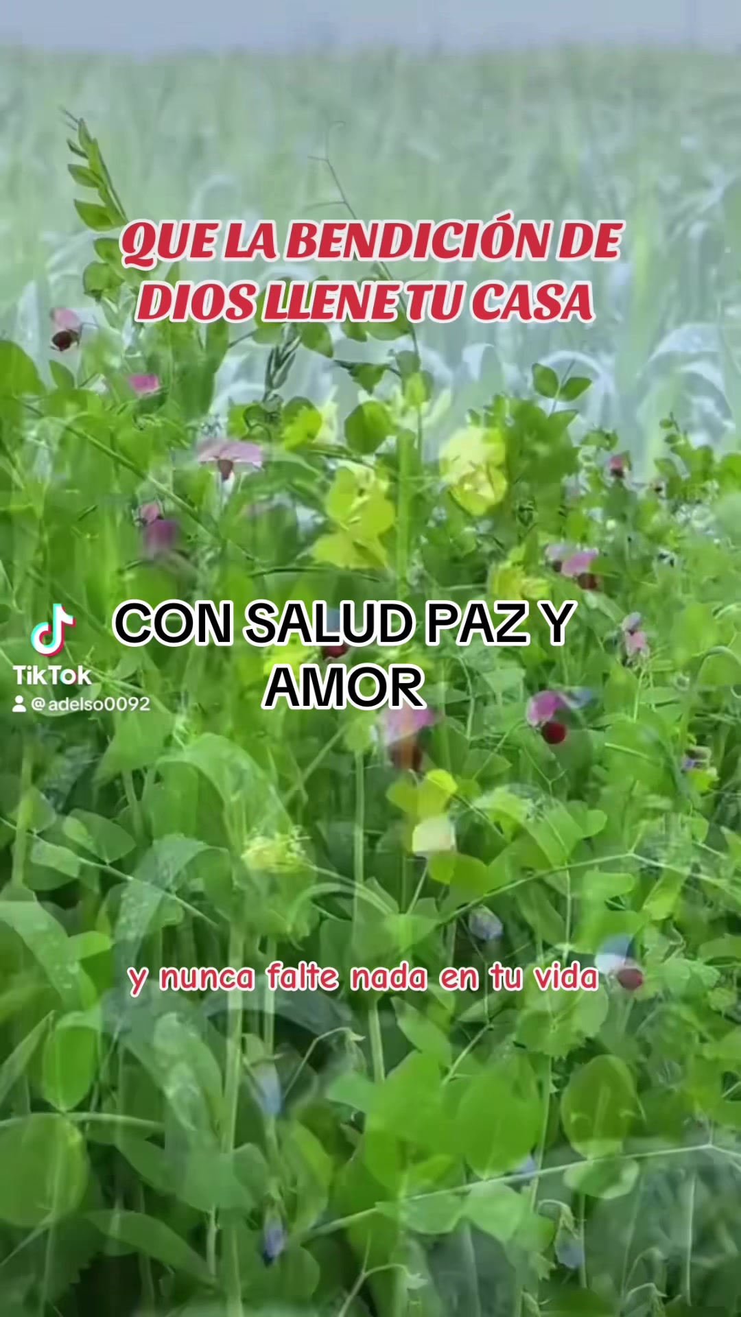 @Adelsomusicacristiana