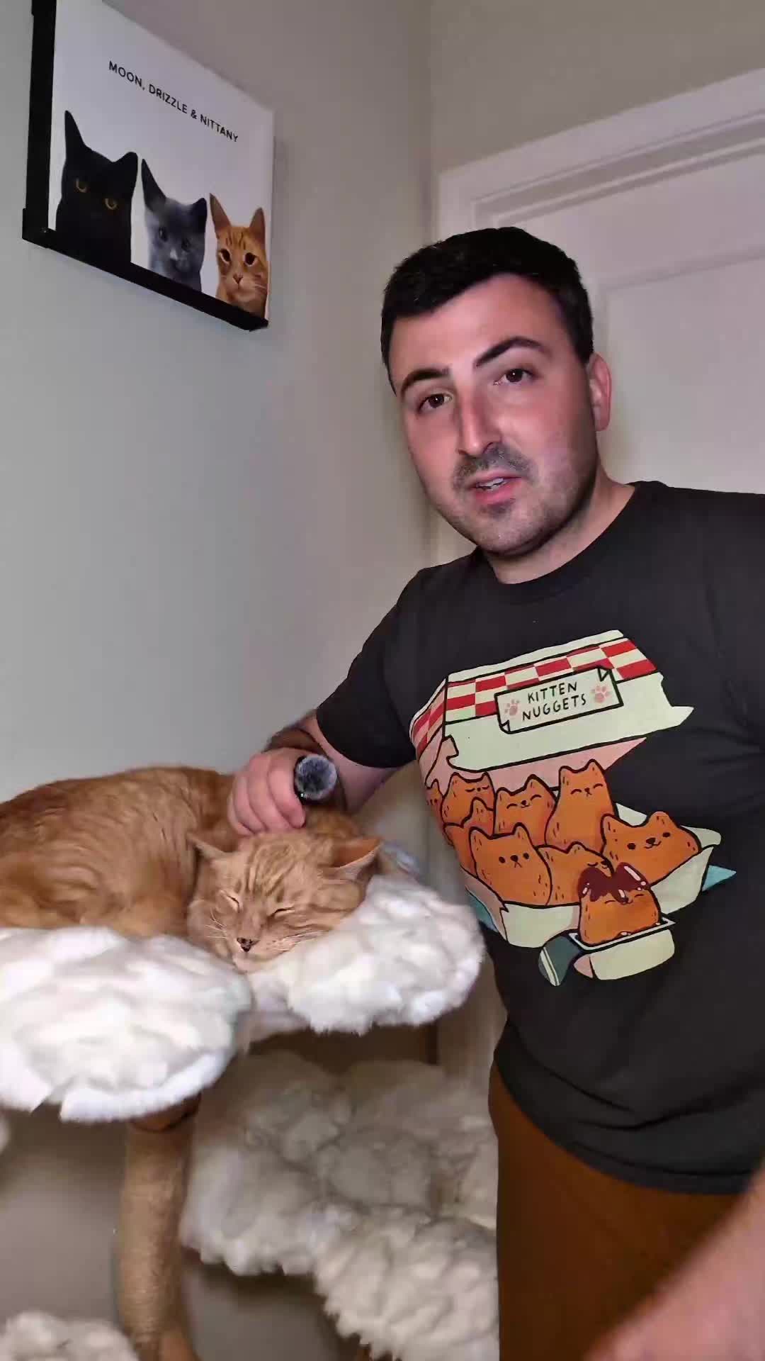 @Weatherman Catman