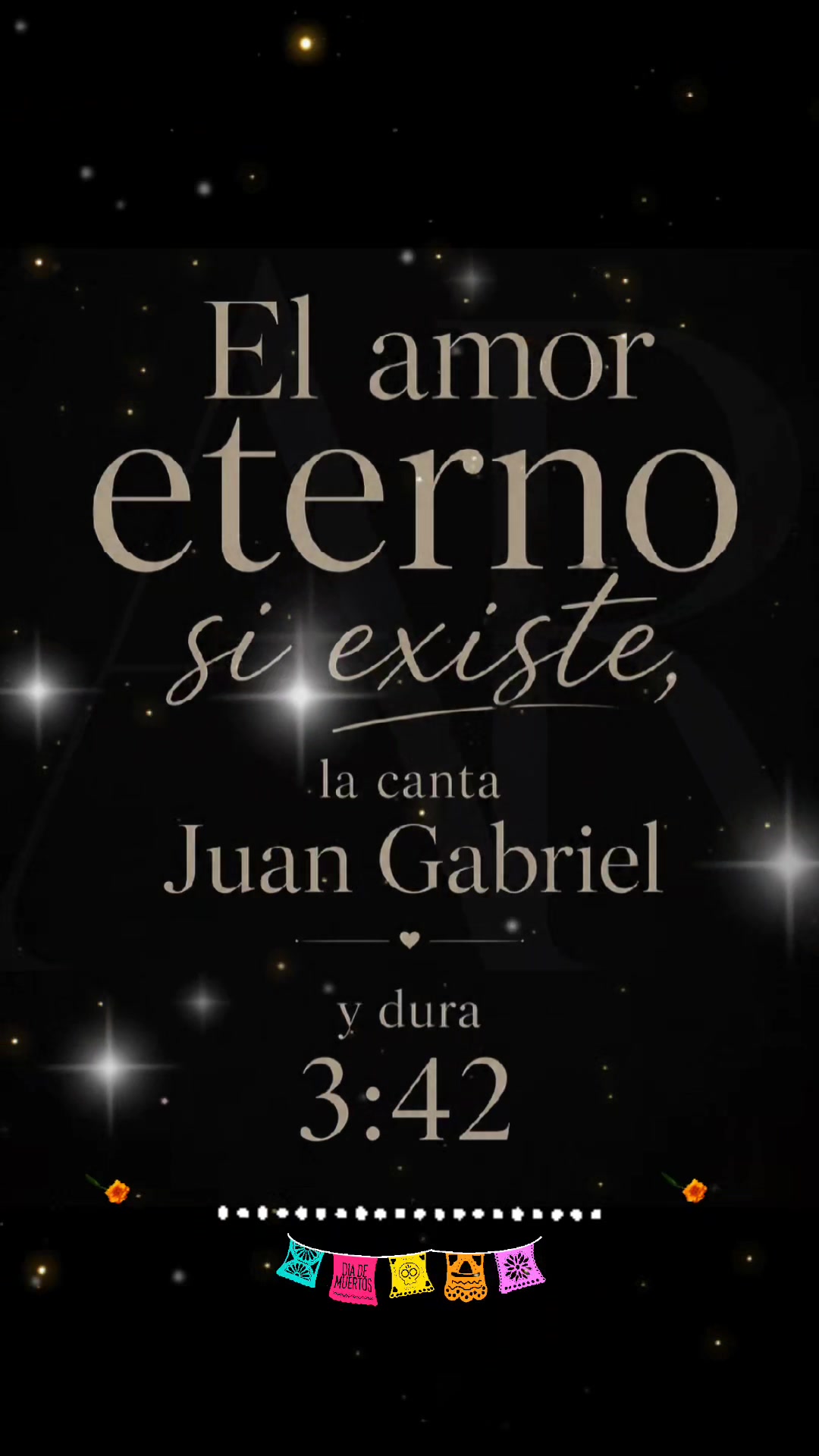@Miguel Angel Official