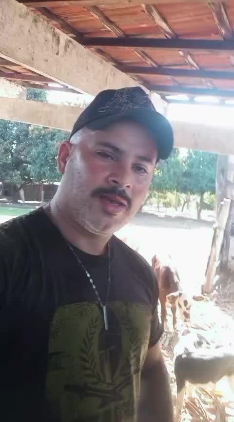 @Ralado & Totoy