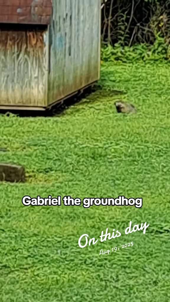 @ððð®ð·ð·ð ððªð® ðââïžâïžðïž