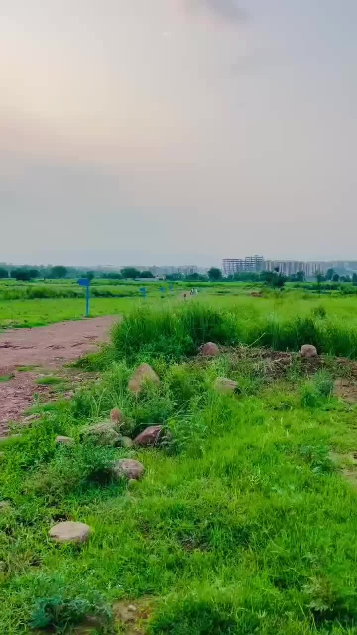 @AHMEDTANOLI_1